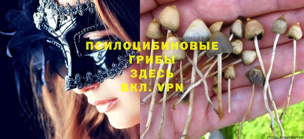 МДПВ Абаза