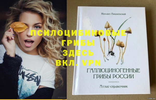 бошки Абинск