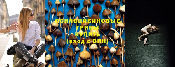 МДПВ Абаза